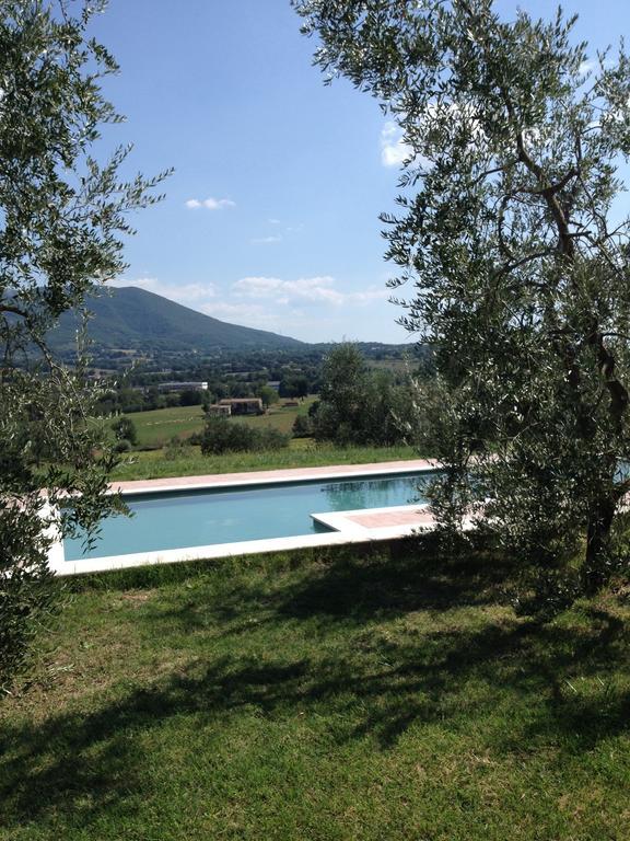 La Casa Nell'Oliveto Bed & Breakfast Acquasparta Екстериор снимка